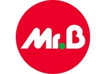 Logo de l'enseigne Mr Bricolage