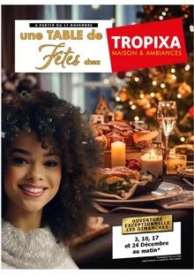 Image de couverture du cataloque Une table de fêtes chez Tropixa