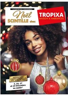 Image de couverture du cataloque Noël scintille chez Tropixa