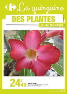 image de couverture du cataloque La quinzaine des plantes