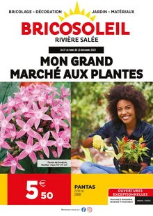  catalogue promo Bricosoleil 