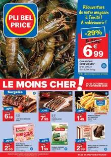  catalogue promo Pli Bel Price  