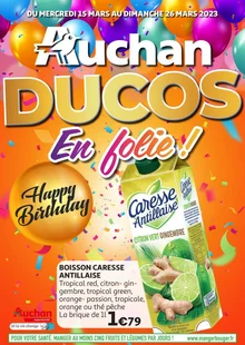  catalogue promo Auchan 
