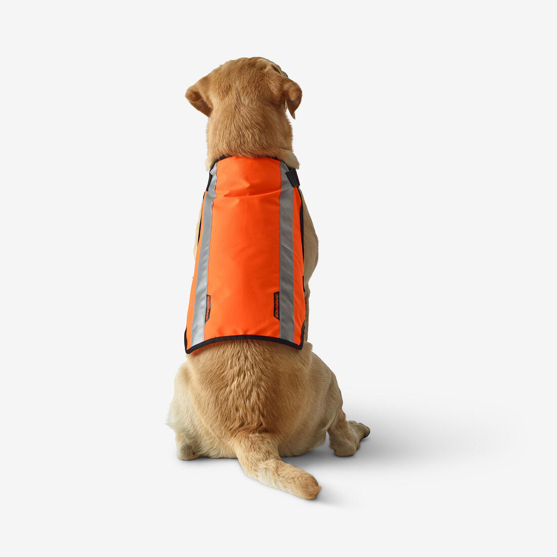 article en promo : Gilet chien chasse 100