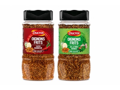 article en promo : Oignons frits