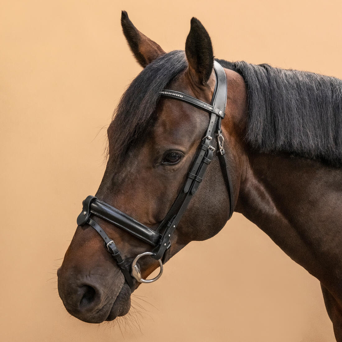 article en promo : Filet équitation cuir muserolle française strass - 580
