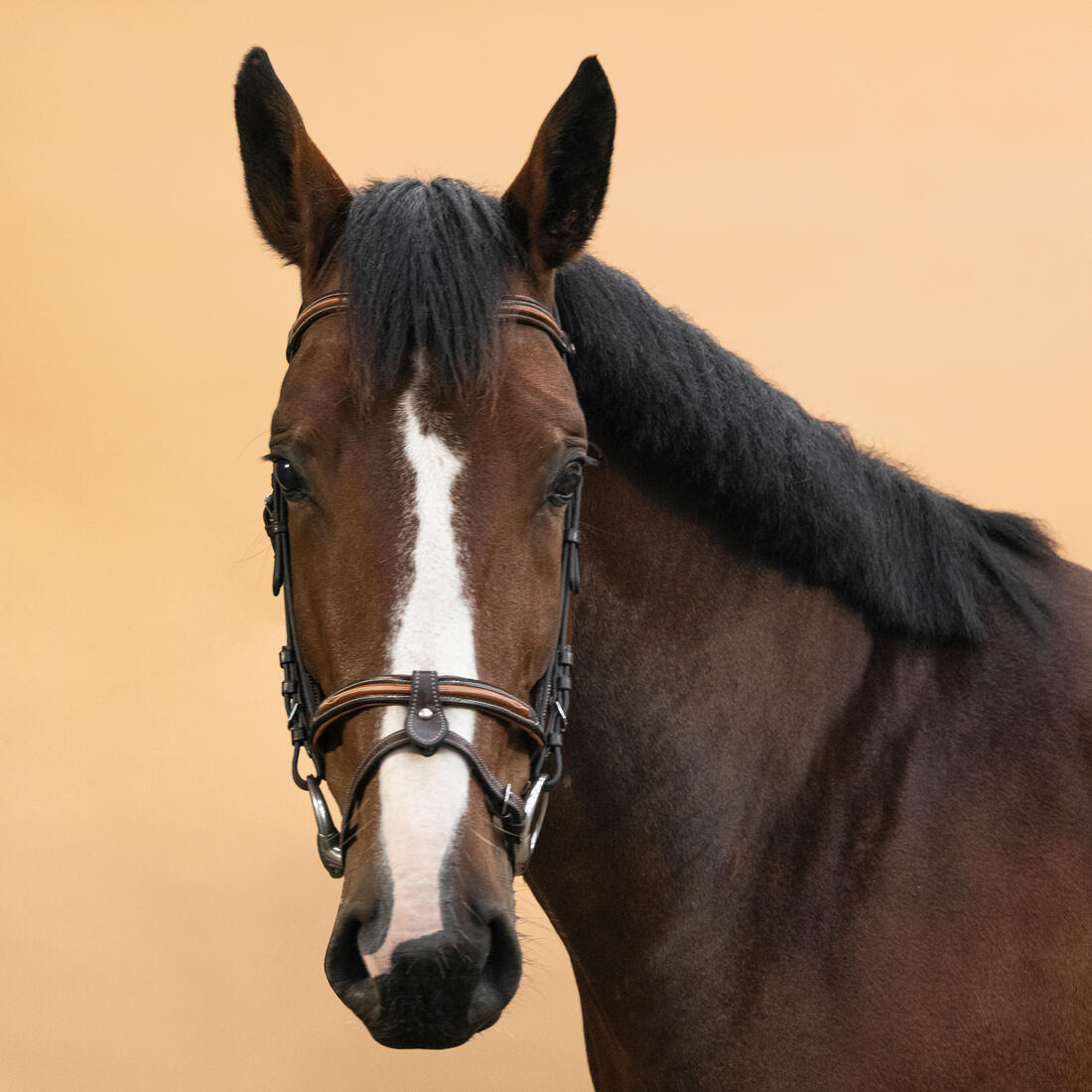 article en promo : Filet équitation cuir muserolle française surpiqué cheval et poney - 580