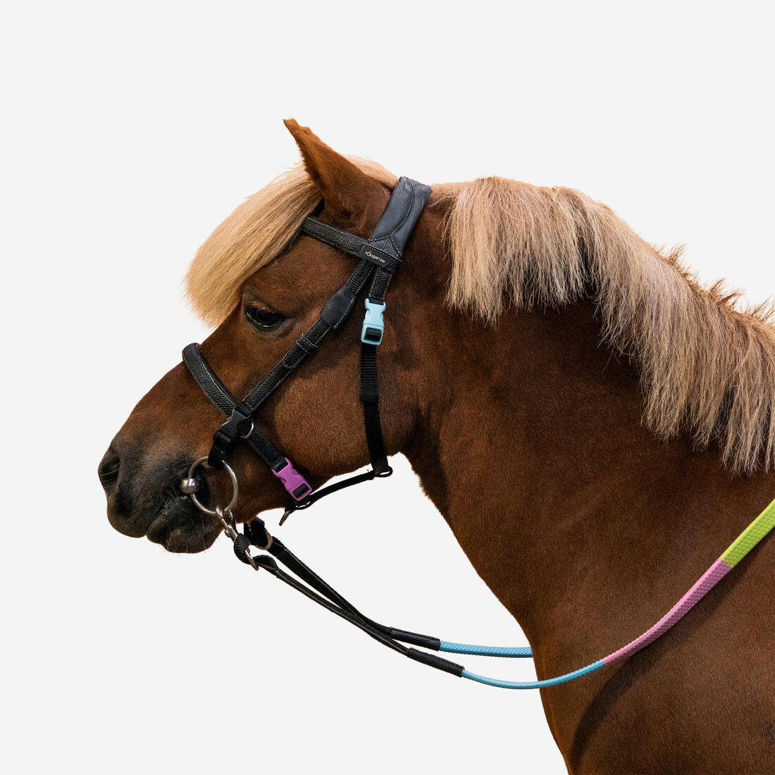 article en promo : Filet et rênes équitation synthétique initiation poney - 100