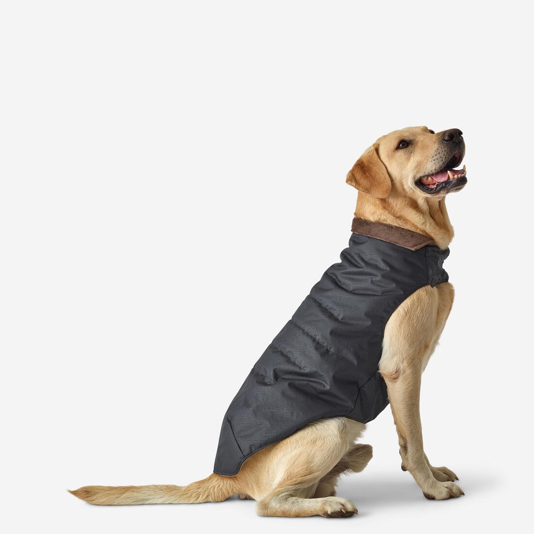 article en promo : Gilet chaud pour chien